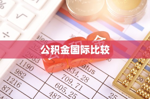 瑞金公积金国际比较