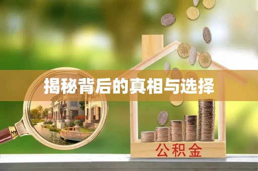 瑞金揭秘背后的真相与选择