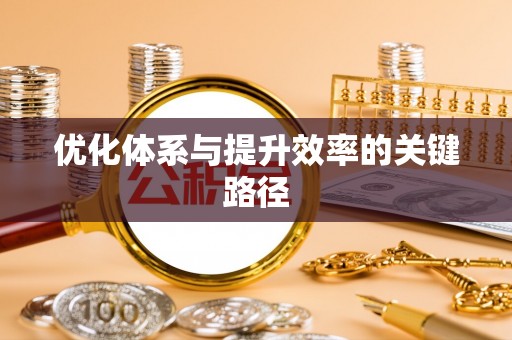瑞金优化体系与提升效率的关键路径