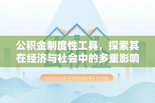 瑞金公积金制度性工具，探索其在经济与社会中的多重影响