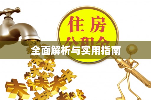 瑞金全面解析与实用指南