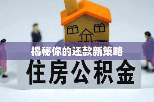 瑞金揭秘你的还款新策略