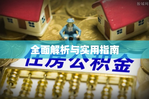 瑞金全面解析与实用指南