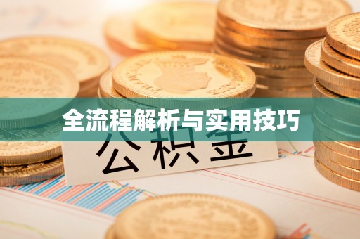 瑞金全流程解析与实用技巧