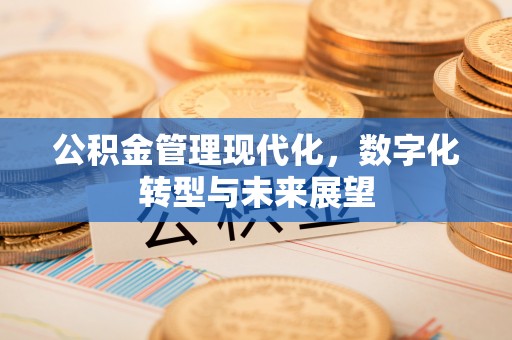 瑞金公积金管理现代化，数字化转型与未来展望