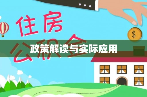 瑞金政策解读与实际应用