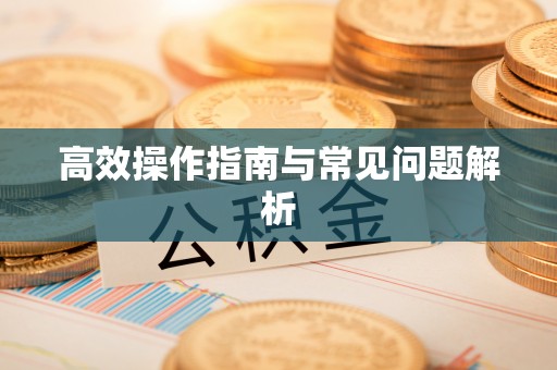 瑞金高效操作指南与常见问题解析