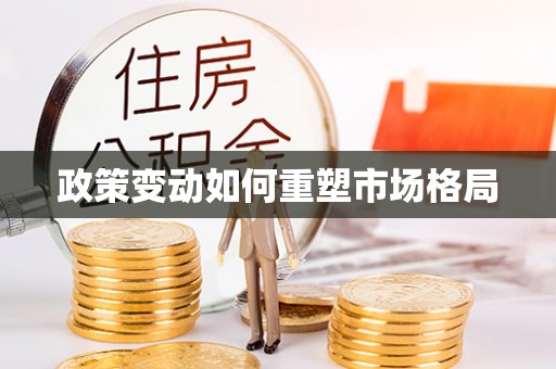 瑞金政策变动如何重塑市场格局
