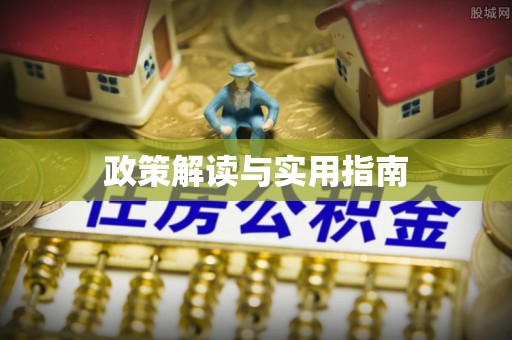 瑞金政策解读与实用指南