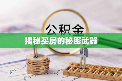 瑞金揭秘买房的秘密武器