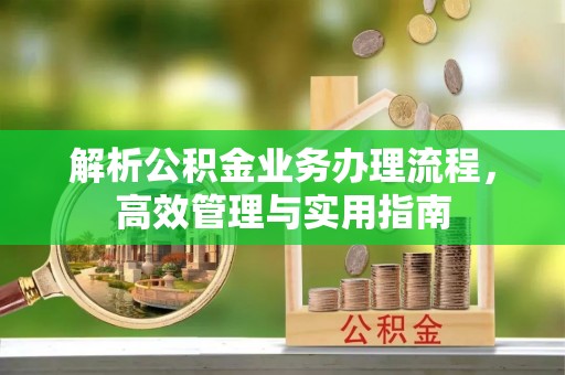 瑞金解析公积金业务办理流程，高效管理与实用指南