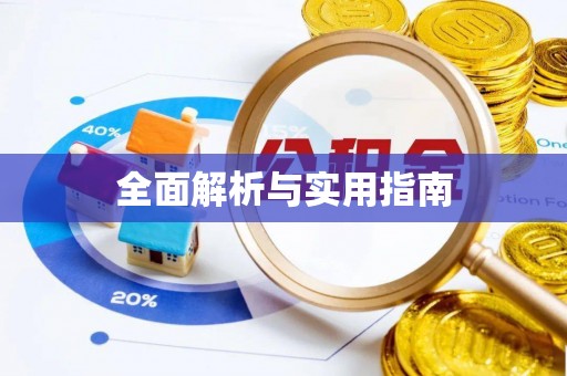 瑞金全面解析与实用指南