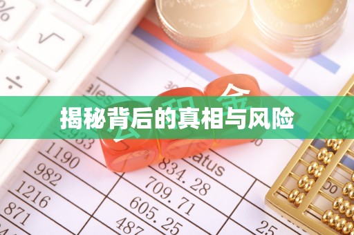 瑞金揭秘背后的真相与风险