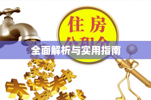 瑞金全面解析与实用指南