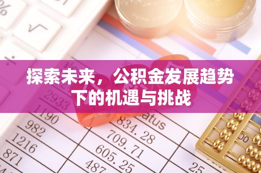 瑞金探索未来，公积金发展趋势下的机遇与挑战