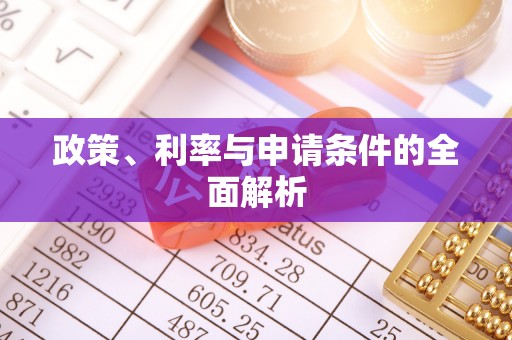瑞金政策、利率与申请条件的全面解析
