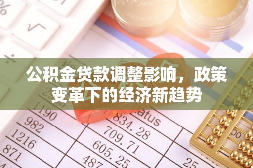 瑞金公积金贷款调整影响，政策变革下的经济新趋势