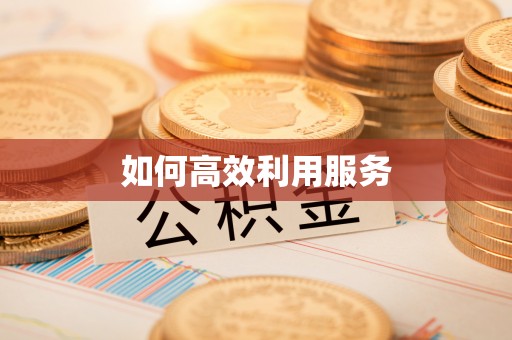 瑞金如何高效利用服务