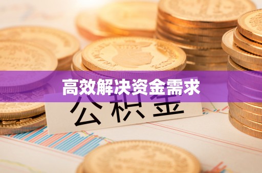 瑞金高效解决资金需求