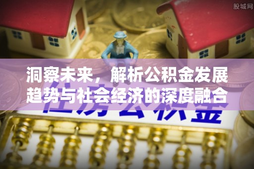 瑞金洞察未来，解析公积金发展趋势与社会经济的深度融合