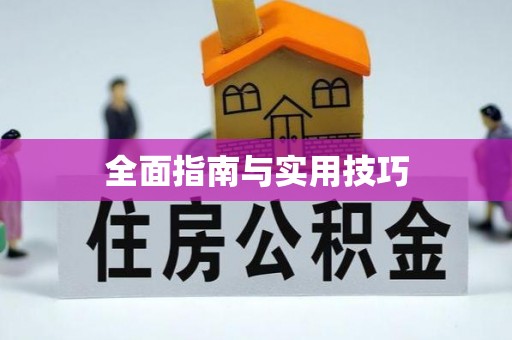 瑞金全面指南与实用技巧