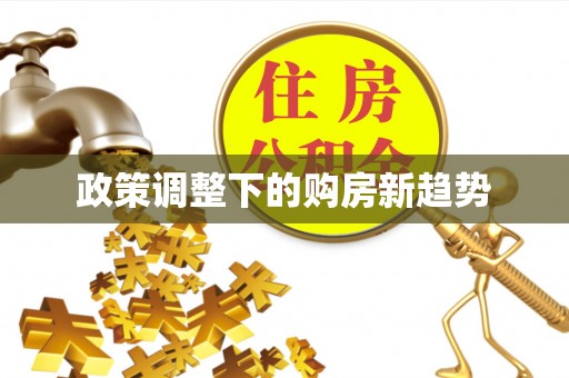 瑞金政策调整下的购房新趋势