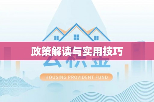 瑞金政策解读与实用技巧