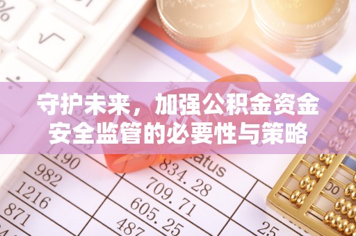 瑞金守护未来，加强公积金资金安全监管的必要性与策略