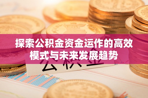 瑞金探索公积金资金运作的高效模式与未来发展趋势