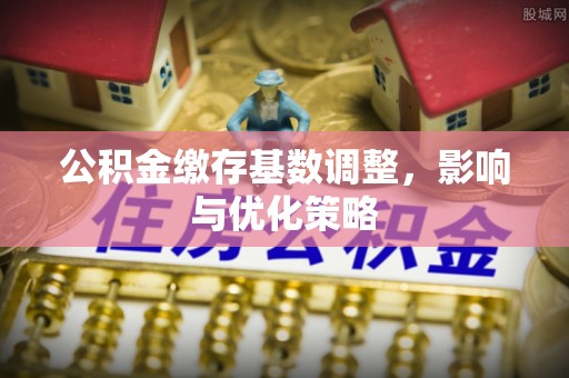 瑞金公积金缴存基数调整，影响与优化策略