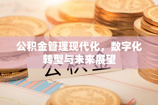 瑞金公积金管理现代化，数字化转型与未来展望