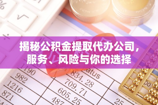 瑞金揭秘公积金提取代办公司，服务、风险与你的选择