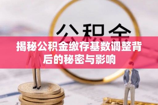 瑞金揭秘公积金缴存基数调整背后的秘密与影响