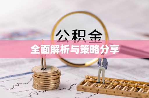 瑞金全面解析与策略分享
