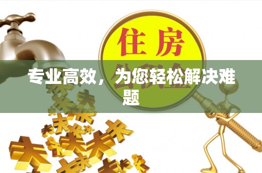 瑞金专业高效，为您轻松解决难题