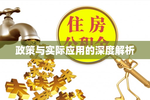 瑞金政策与实际应用的深度解析