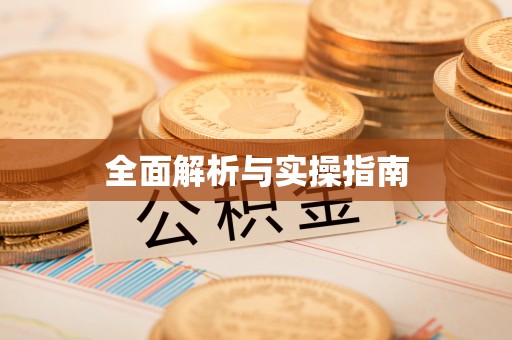 瑞金全面解析与实操指南