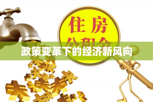 瑞金政策变革下的经济新风向