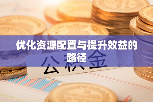 瑞金优化资源配置与提升效益的路径