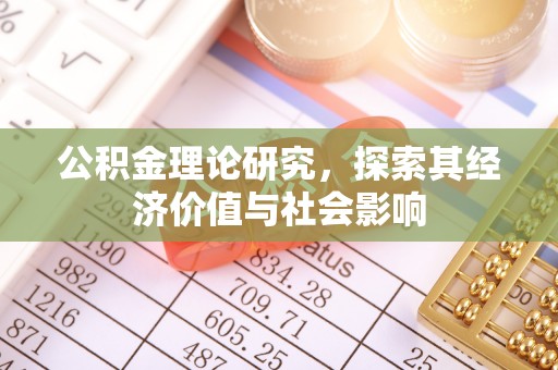 瑞金公积金理论研究，探索其经济价值与社会影响