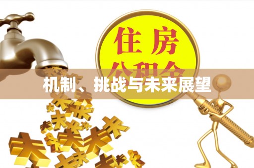 瑞金机制、挑战与未来展望