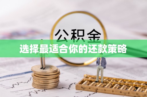 瑞金选择最适合你的还款策略