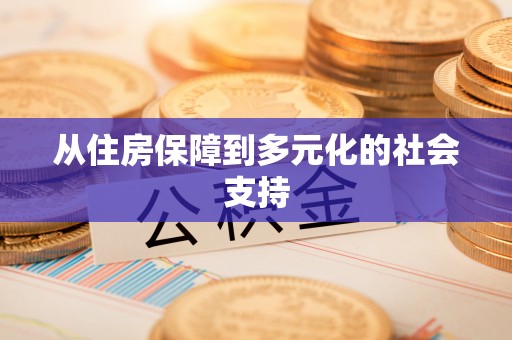 瑞金从住房保障到多元化的社会支持