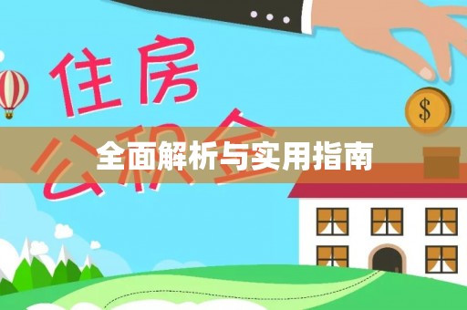 瑞金全面解析与实用指南