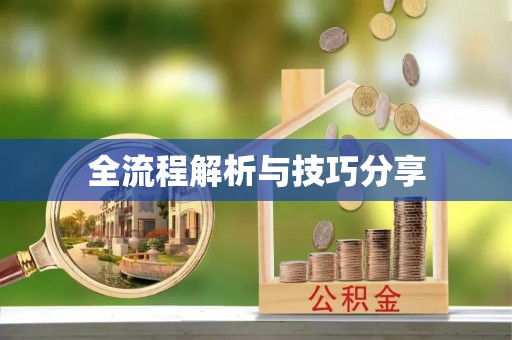 瑞金全流程解析与技巧分享