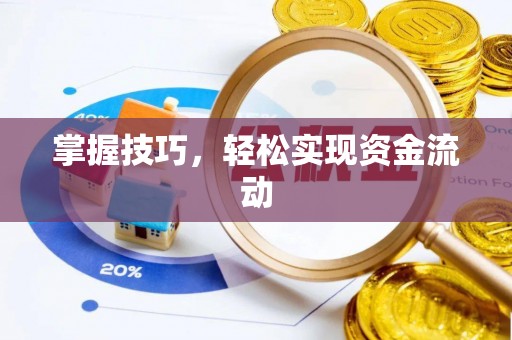 瑞金掌握技巧，轻松实现资金流动