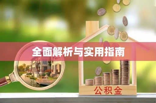 瑞金全面解析与实用指南