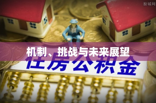 瑞金机制、挑战与未来展望